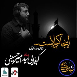شب های دلتنگی «اینجا کربلاست»با صدای کربلایی سید امیر حسینی