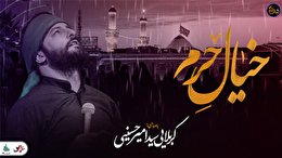 شب های دلتنگی ( خیال حرم) با صدای کربلایی سید امیر حسینی