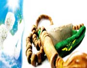 علاقمندی به نماز علاقمندی به نماز