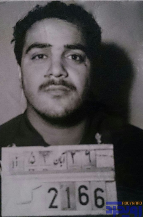 علی انسانی