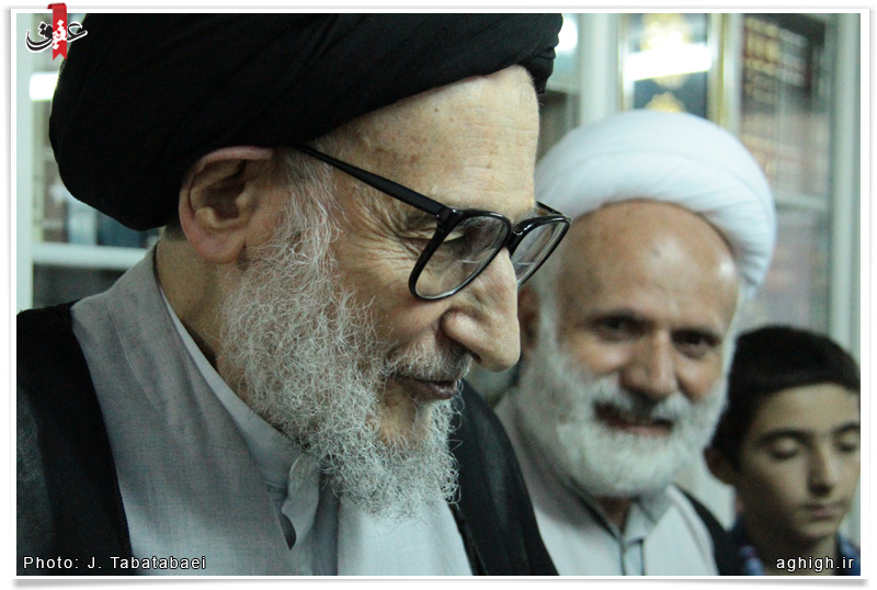 آیت الله سید محمد ضیاءآبادی