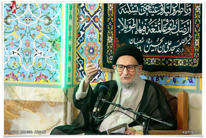 آیت الله سید محمد ضیاء آبادی