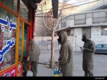 هیئت رزمندگان اسلام شهرستان بهارستان