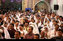 جشن ازدواج امیرالمومنین(ع) و حضرت زهرا(س) در  امامزاده سلطان امیر احمد کاشان