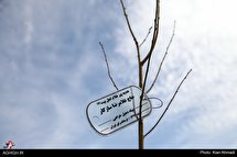 درختکاری مداحان به یاد شهدای مداح و پیرغلامان