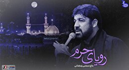 رویای حرم | با صدای حاج مجتبی رمضانی| ویژه ایام شهادت امیرالمومین(ع)