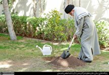 کاشت نهال توسط رهبر انقلاب در روز درختکاری