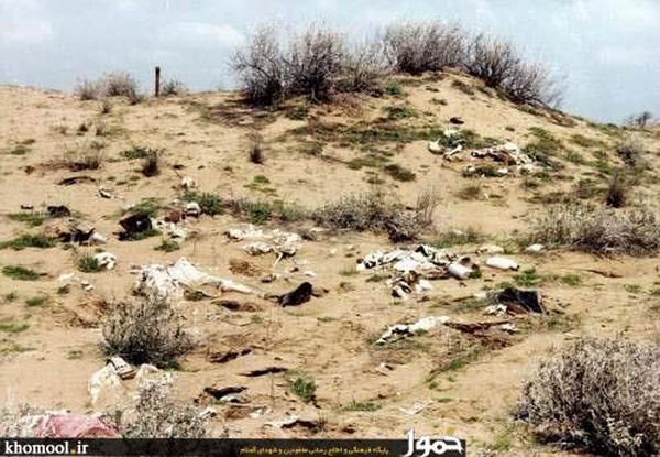 برای تفحص پیکر شهدا چند شهید دادهایم؟ برای تفحص پیکر شهدا چند شهید دادهایم؟