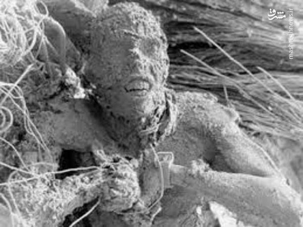 روزی که نابغه جنگ، گزارشگر حادثه طبس شد