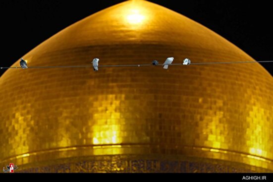 عزاداری شب بیست و هفتم ماه صفر در حرم مطهر رضوی